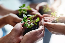 承德新彩民玩3D游戏 惊喜中得22万余元