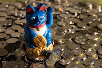 萌猫招财福运来 幸运站点中出双色球一等奖