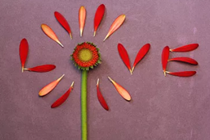 我与福彩的暖心故事——爱的传承