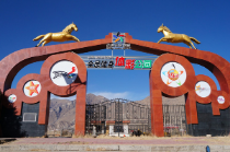 国家体育总局本级彩票公益金8年投入156亿