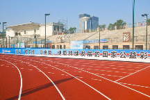 修建场地办赛事 体彩公益金“搭建”百姓运动场