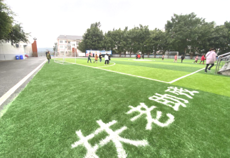 足球场“变身记”1 足球场“变身记”1