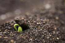 造化弄人 到手的1804万大奖就这么没了