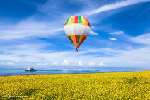 追梦路上有你有我 让我们一起飞得更高更远