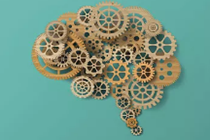 2020年云南全省体育彩票工作会议召开