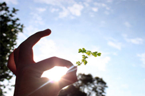 承德福彩“创建文明城市 引领交通文明”志愿服务活动