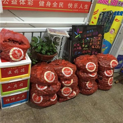 责任体彩·志愿服务10