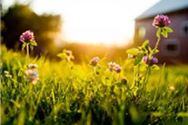 苏州市5700余万元福彩公益金助推社区服务社会化