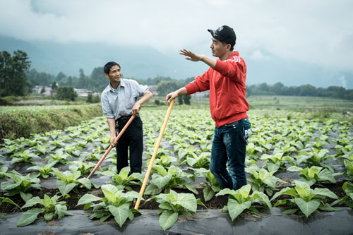 温暖有光放映队2
