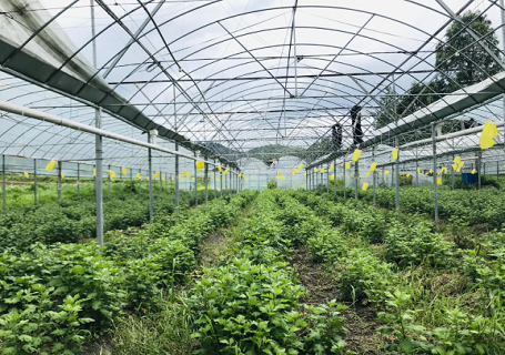 江西福彩帮扶桐江村脱贫3 江西福彩帮扶桐江村脱贫3