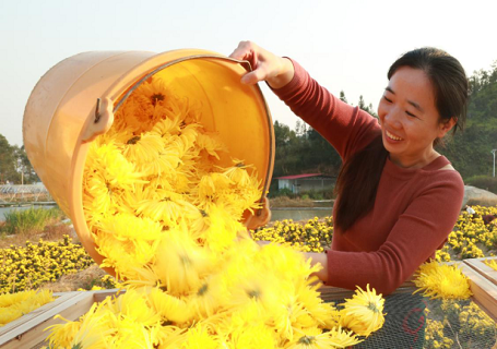 江西福彩帮扶桐江村脱贫4 江西福彩帮扶桐江村脱贫4