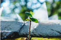 一路风尘一路歌——记录河北福彩发展的三个小故事