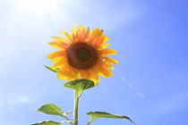 2020届顺德“福彩慈善班”正式开班