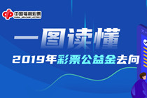 一图读懂2019年彩票公益金去向