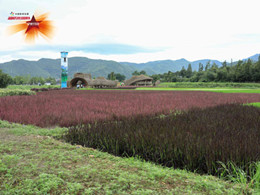 温暖有光放映队走进浙江安吉 让绿水青山更加美好