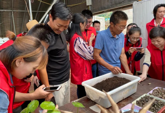 致富路5 致富路5