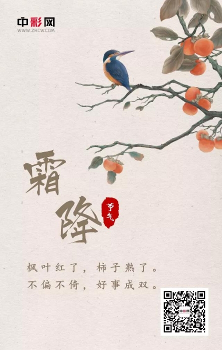 今日霜降，好事成双1