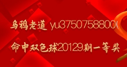 乌鸦老道 yu3750758800中双色球20129期一等奖