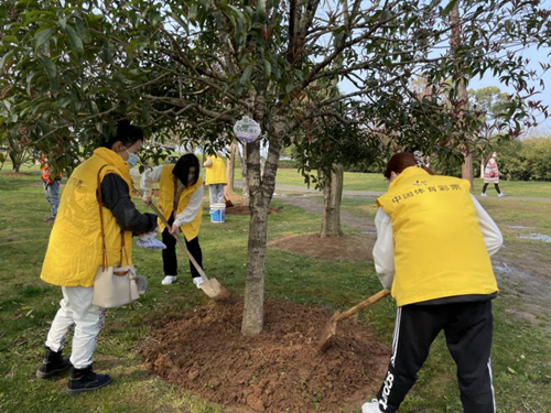 体彩人积极行动共建绿色家园2