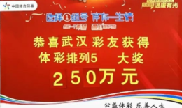 武汉彩民喜中排列5游戏250万元：大奖是悄悄“瞟”来的
