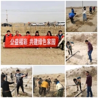 “扬起防风护林的帆，我们就是这片沙海中最靓的仔！”