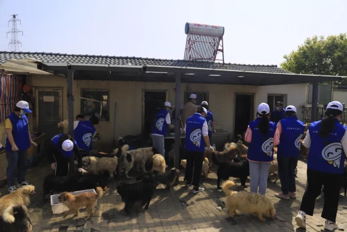 体彩高校志愿者爱心满满2