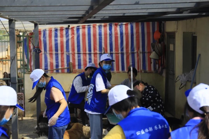 体彩高校志愿者爱心满满3