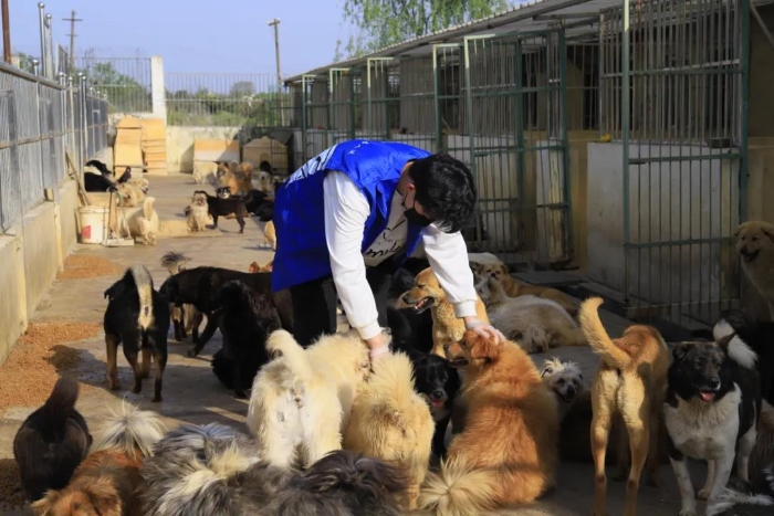 体彩高校志愿者爱心满满5