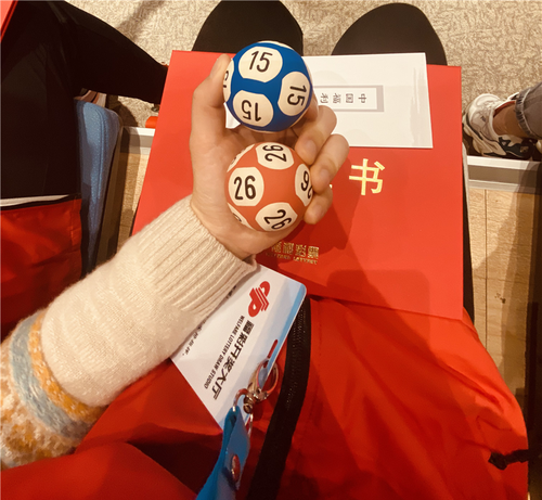 山东观摩团见证双色球大奖诞生3