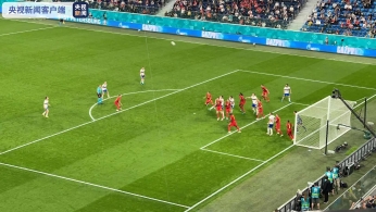 【资讯】欧洲杯：俄罗斯主场0:3负于比利时