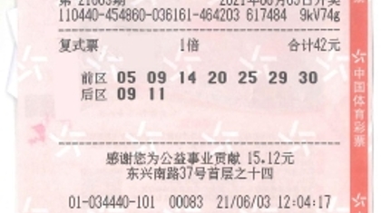 随机、随意、随心！广州购彩者机选大乐透喜中606万