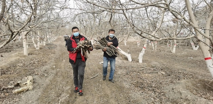 公益6666 公益6666