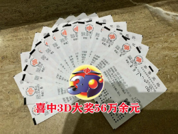 喜鹊报喜，好运连连！大奖拿到手软！