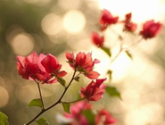 刮中100万 惠州大亚湾彩民上演年终压轴好戏