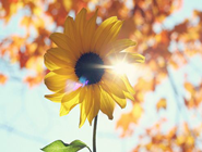 玉林90后购彩者喜中刮刮乐“黄金时代”100万元大奖