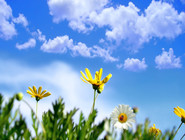 【快乐8专家—湛蓝】22022期推荐15码