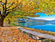 【快乐8专家—在水一方】22042期  精选单式选六推荐5组号码