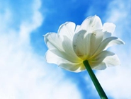 安徽马鞍山90后福彩站主的生意经