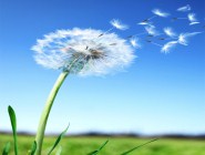 遗憾 双色球89.8万元终成弃奖