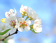 泉州福彩多措并举抓销售网点复售