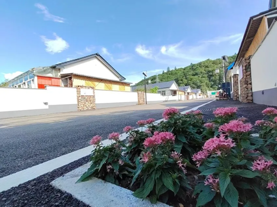 靖宇县花园口镇乡村振兴2 靖宇县花园口镇乡村振兴2