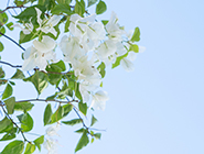 上海福彩开展夏季慰问，为销售员送“清凉”