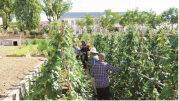 “五小”解“三老” 随县尚市福利院打造“享养老”品牌