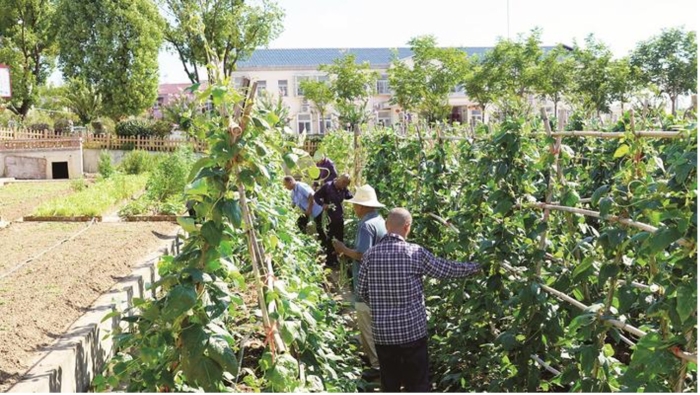 “五小”解“三老” 随县尚市福利院打造“享养老”品牌