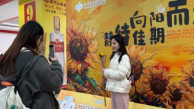 向阳而生 静待佳期282 向阳而生 静待佳期282