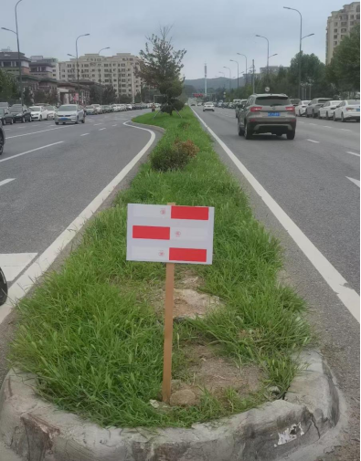 大连体彩第22367号党员先锋店