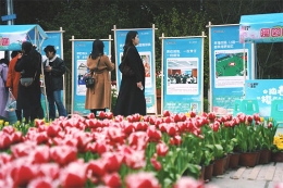 “公益+文旅”新范式 福彩“趣野派对”邀你来南山植物园看樱花啦