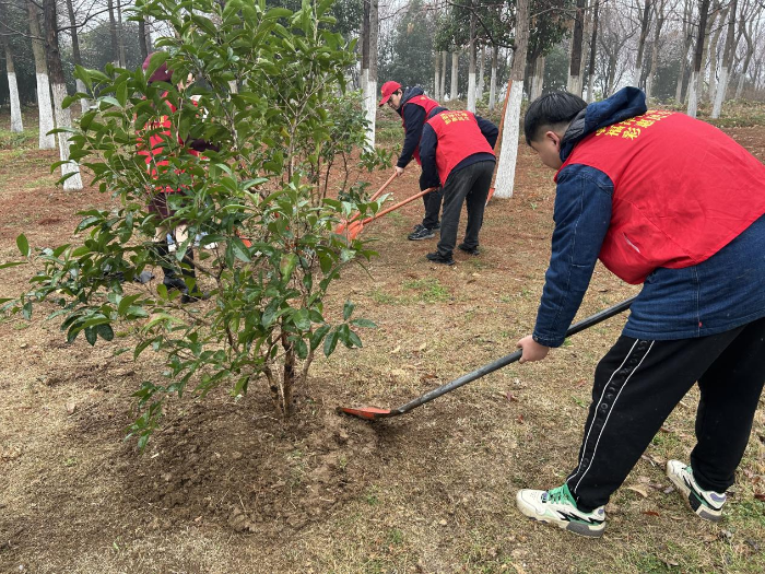 合肥福彩开展第三届植树节活动