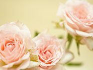 梅沙福彩销售站创新助残模式 打造公益商业融合新标杆