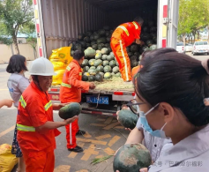 巴彦淖尔福彩：爱心助农显担当 公益福彩暖民心